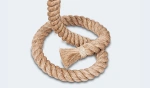 lina-lampa-trzon.jpg